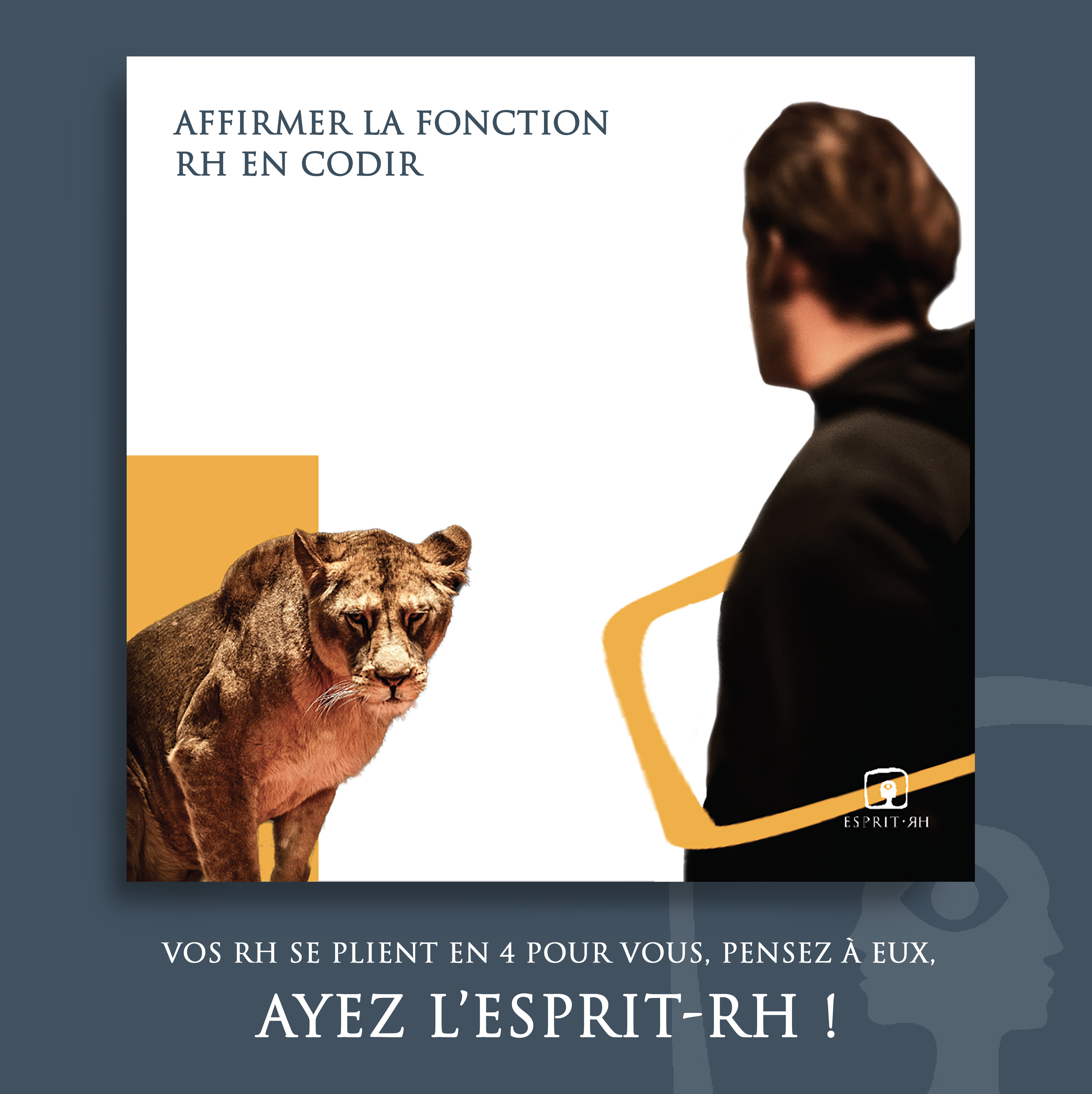 Comment affirmer la fonction RH en CODIR??